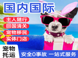 太平空运代理国际宠物托运 【国